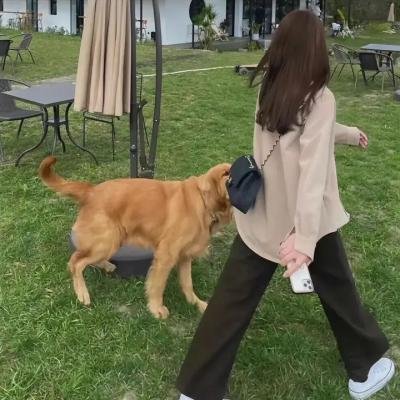 果宝特攻之水果大逃亡